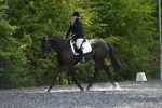 WJ5_9911