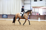 SBM_000444