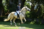 260703A-115654-07697