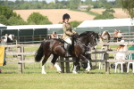 SBM_09135