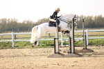 SBM_003620