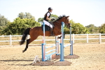 SBM_000256