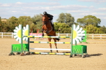 SBM_007973