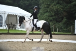 123-Michelle_Wallis-Alvescot_Winning_Mood portfolio