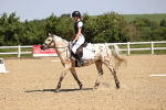 SBM_008562