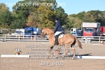 BPP_8403