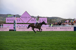 130326-Race 5-Gaelic Warrior-2634