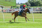 160725-Race 3-Miss Yechance-9007