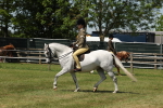 SBM_06754