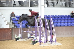 SBM_002828