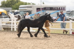 SBM_04928