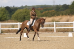 SBM_009617