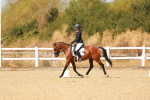 SBM_018487