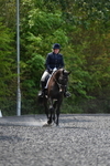 WJ5_9918