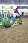 SBM_003933