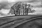 Teenley Hill 04