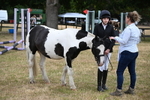 WJ6_4198