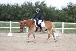 SBM_016769