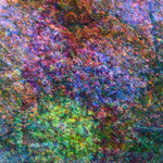 ENTROPY TRIPTYCH lV-Vl