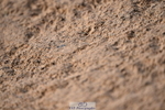 231101A-120136-00201