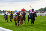 190523-Race 3-Marhaba The Champ-0474