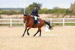 SBM_000876
