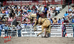 3HRodeo_CFD_JUL_18_2026_03968