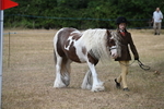 WJ6_7896