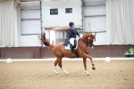 SBM_008704