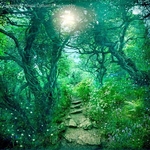 The Secret Path
