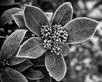 20141228-3K8A7398-3268