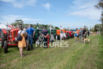 Guernsey Agricultural Show 2021-163