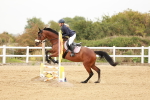 SBM_008036