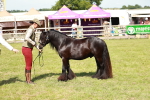 SBM_08589