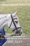 BPP_5117