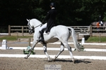 359-LONG_BEACH-Giorgio_Nardilli-WEDTrotUp+DR portfolio
