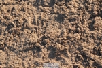 260627-192728-06337