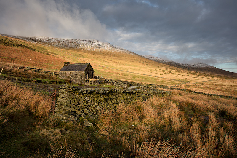 Corrany Sheep Pen