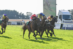020825-Race 8-Dandy Dinmont-3900