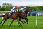 210526-Race 7-Velvet Rhythm-5061