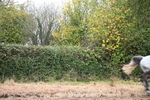 WJ6_7558