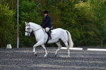 WJ5_8967