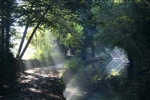 Cromford Canal Morning Light 2