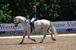 245-Neve_Moran-Clareville_golden_knight portfolio