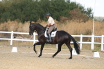 SBM_008589