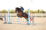 SBM_001553