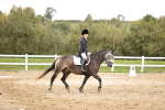 SBM_002602