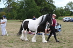 WJ6_5201