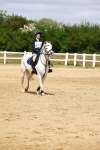 SBM_007919