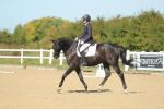 SBM_000872